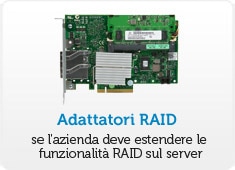 Enterprise RAID Adapters 